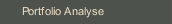 Portfolio Analyse